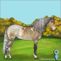 Horse Color:White Spotted Silver Buckskin Dun 