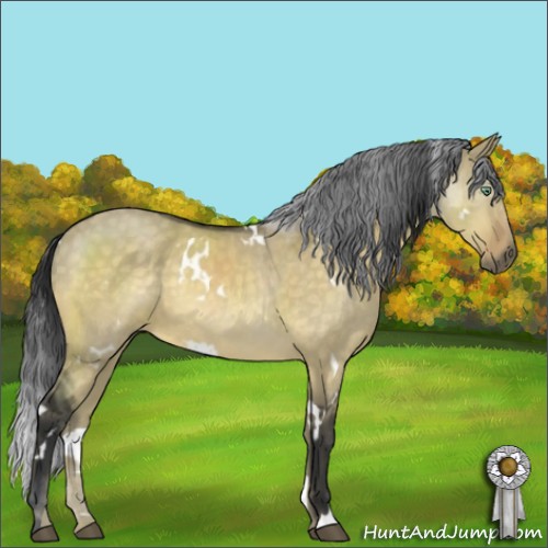 Horse Color:White Spotted Buckskin Dun