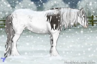 Horse Color:Smoky Black Sabino 