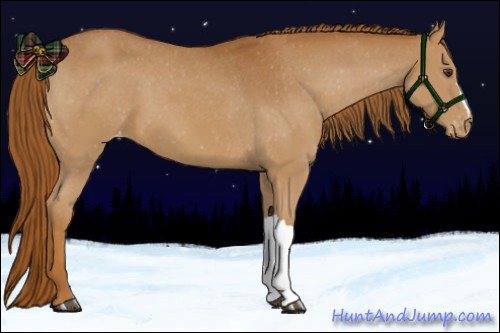 Horse Color:Chestnut Appaloosa 