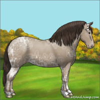 Horse Color:Classic Champagne Ice 