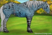 Horse Color:ERROR: UNKNOWN ANOMALY