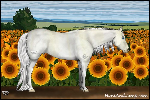 Horse Color:White Spotted Gold Champagne Dun Mushroom Splash Blanket