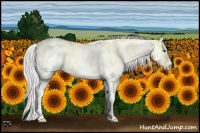 Horse Color:White Spotted Gold Champagne Dun Mushroom Splash Appaloosa