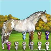 Horse Color:White Spotted Silver Buckskin Dun Mushroom Brindle 