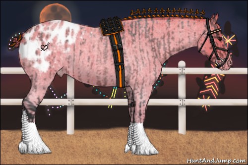 Horse Color:Brown Roan Sabino Appaloosa  and Perlino Roan Appaloosa 