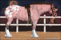 Horse Color:Brown Roan Sabino Blanket  and Perlino Roan Blanket 