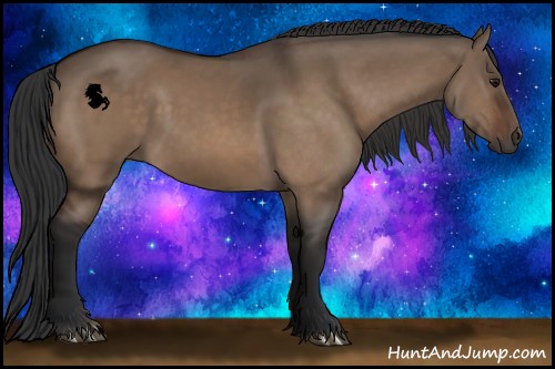 Horse Color:Bay Dun 