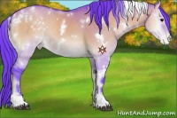 Horse Color:Watercolor White Spotted Brown Onyx Sabino Varnish 