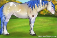 Horse Color:Watercolor White Spotted Brown Onyx Sabino Appaloosa 