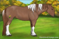 Horse Color:Red Roan Tobiano 