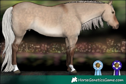 Horse Color:Silver Brown Dun