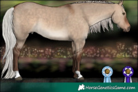 Horse Color:Silver Brown Dun 