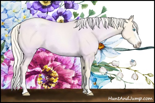 Horse Color:Palomino Pearl Sabino Splash Varnish 