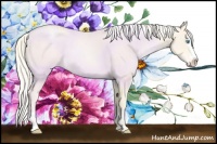 Horse Color:Palomino Pearl Sabino Splash Varnish 