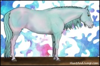 Horse Color:Watercolor Liver Chestnut Pearl Sabino Appaloosa 