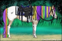 Horse Color:Painted White Spotted Silver Brown Dun Sabino Splash Appaloosa Rabicano