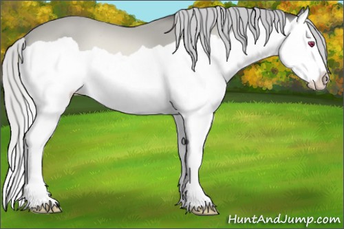 Horse Color:Silver Buckskin Chinchilla Splash 