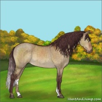Horse Color:Chocolate Brown Dun Brindle 