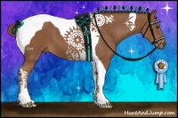 Horse Color:Chestnut Tobiano