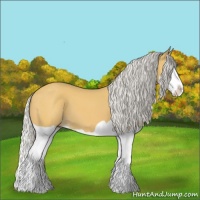 Horse Color:Silver Buckskin Splash