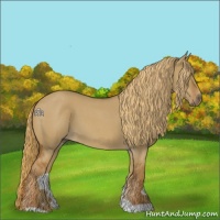 Horse Color:Red Dun Roan