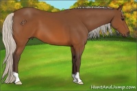 Horse Color:Silver Brown 