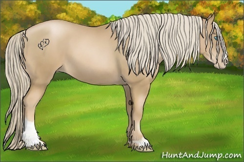 Horse Color:Chocolate Palomino Pearl Sabino 