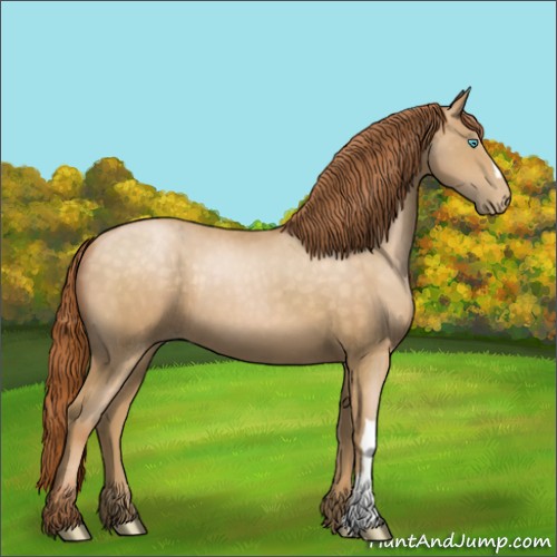 Horse Color:Buckskin Pearl 