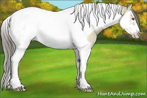 Horse Color:Classic Cream Champagne Dun Splash Tobiano Frame 