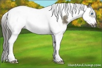 Horse Color:Smoky Grullo Splash Tobiano Frame 