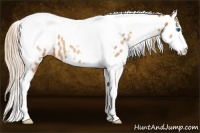 Horse Color:Liver Chestnut Pearl Splash Tobiano Near Leopard