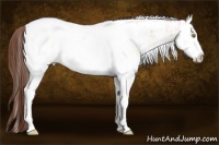 Horse Color:White Spotted Sable Champagne Ice Dun Tobiano Appaloosa