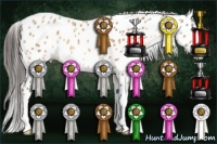 Horse Color:Amber Champagne Tobiano Leopard 