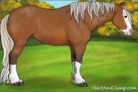Horse Color:Silver Bay Splash 