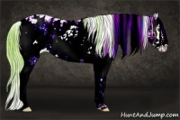 Horse Color:Watercolor Liver Chestnut Ice Sabino Appaloosa 
