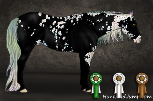 Horse Color:Nacre Watercolor White Spotted Amber Champagne Splash Near Leopard 