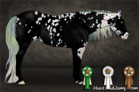 Horse Color:Nacre Watercolor White Spotted Amber Champagne Splash Near Leopard 