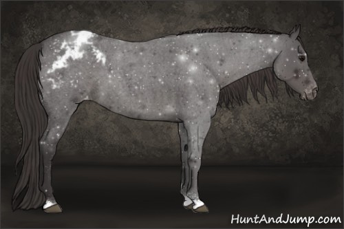 Horse Color:Smoky Blue Roan Varnish 