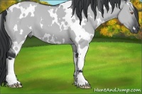 Horse Color:White Spotted Grullo Chinchilla 