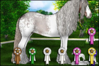 Horse Color:Gray White Spotted Silver Bay 