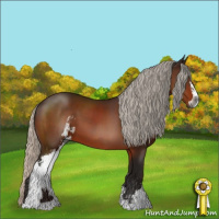 Horse Color:Gray Silver Brown Sabino