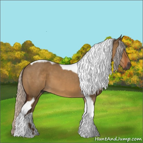 Horse Color:Gray Silver Brown Dun Tobiano
