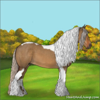 Horse Color:Gray Silver Brown Dun Tobiano