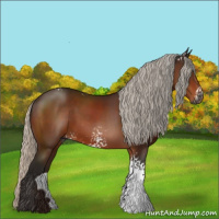 Horse Color:Gray White Spotted Silver Bay 