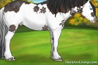 Horse Color:Brown Splash