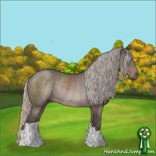 Horse Color:Silver Black Rabicano