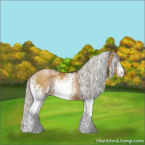 Horse Color:White Spotted Silver Brown Pearl Sabino