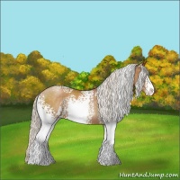 Horse Color:White Spotted Silver Brown Pearl Sabino 