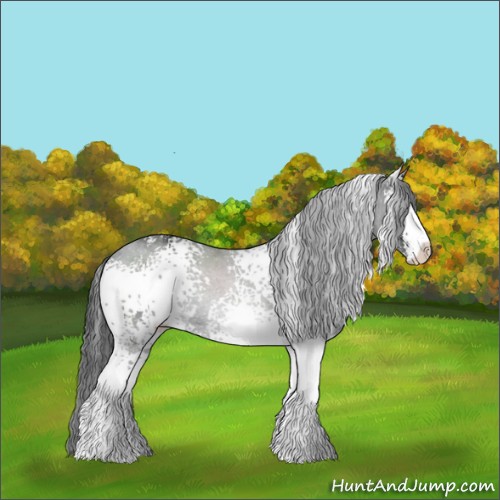 Horse Color:White Spotted Black Sabino 